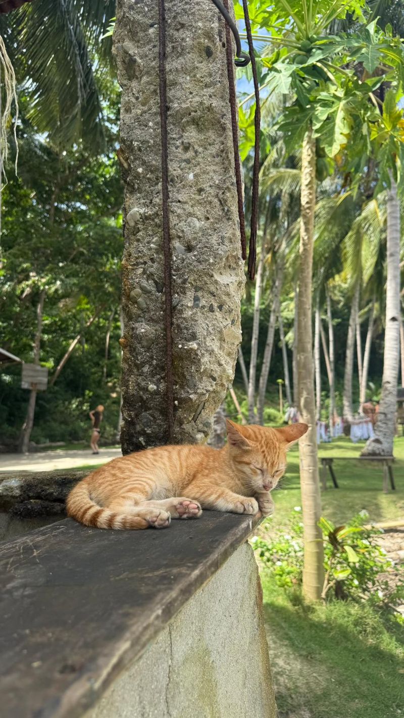 Filipinas — Verano - foto 11