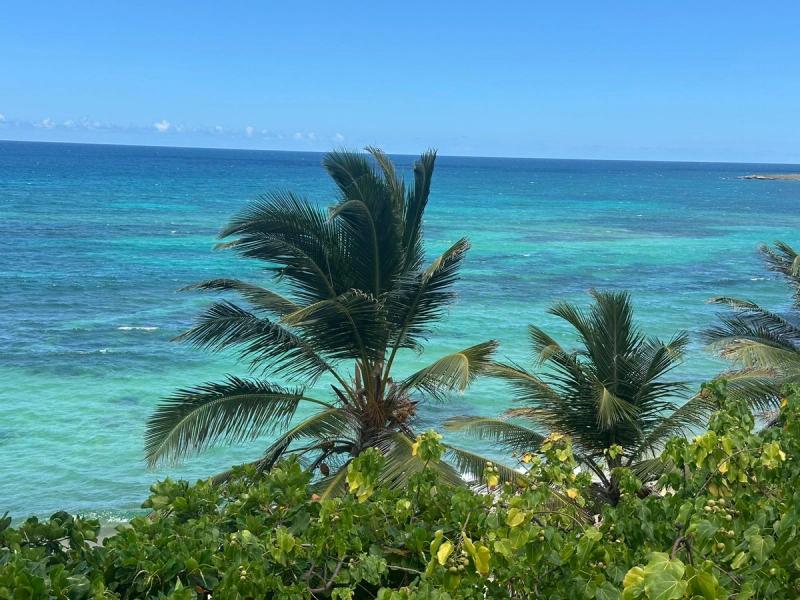 Puerto Rico - foto 9