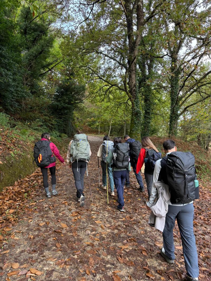 Camino de Santiago - foto 7