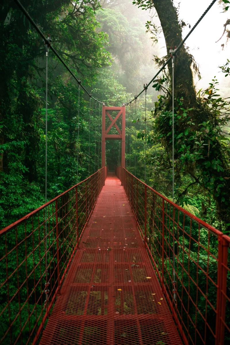 Puente colgante rojo entre la vegetación del bosque nuboso de Costa Rica
