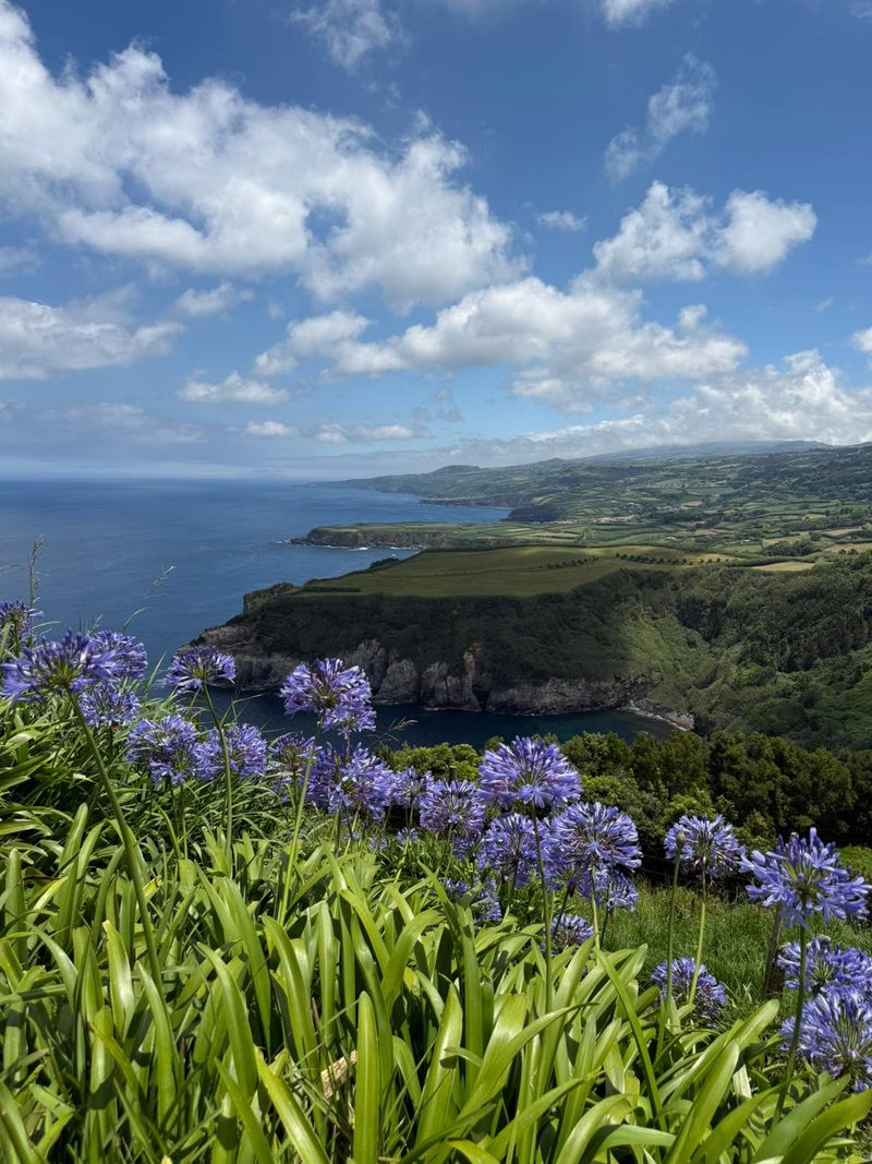 Azores - foto 11