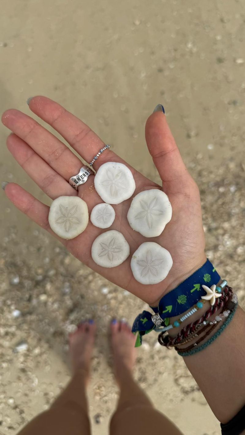 Filipinas — Verano - foto 10