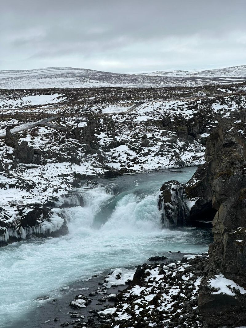 Islandia - foto 7