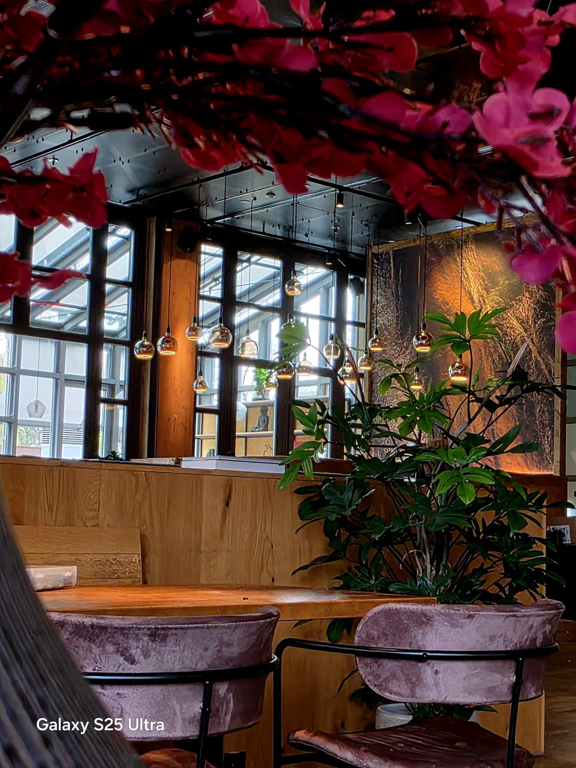 MAI restaurant under the glass roof
