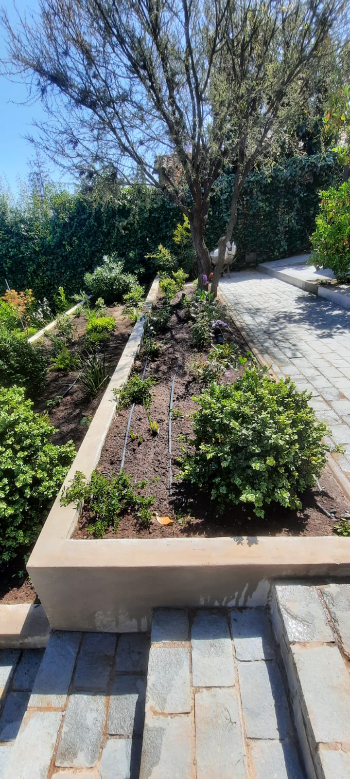Remodelación casa La Reina
