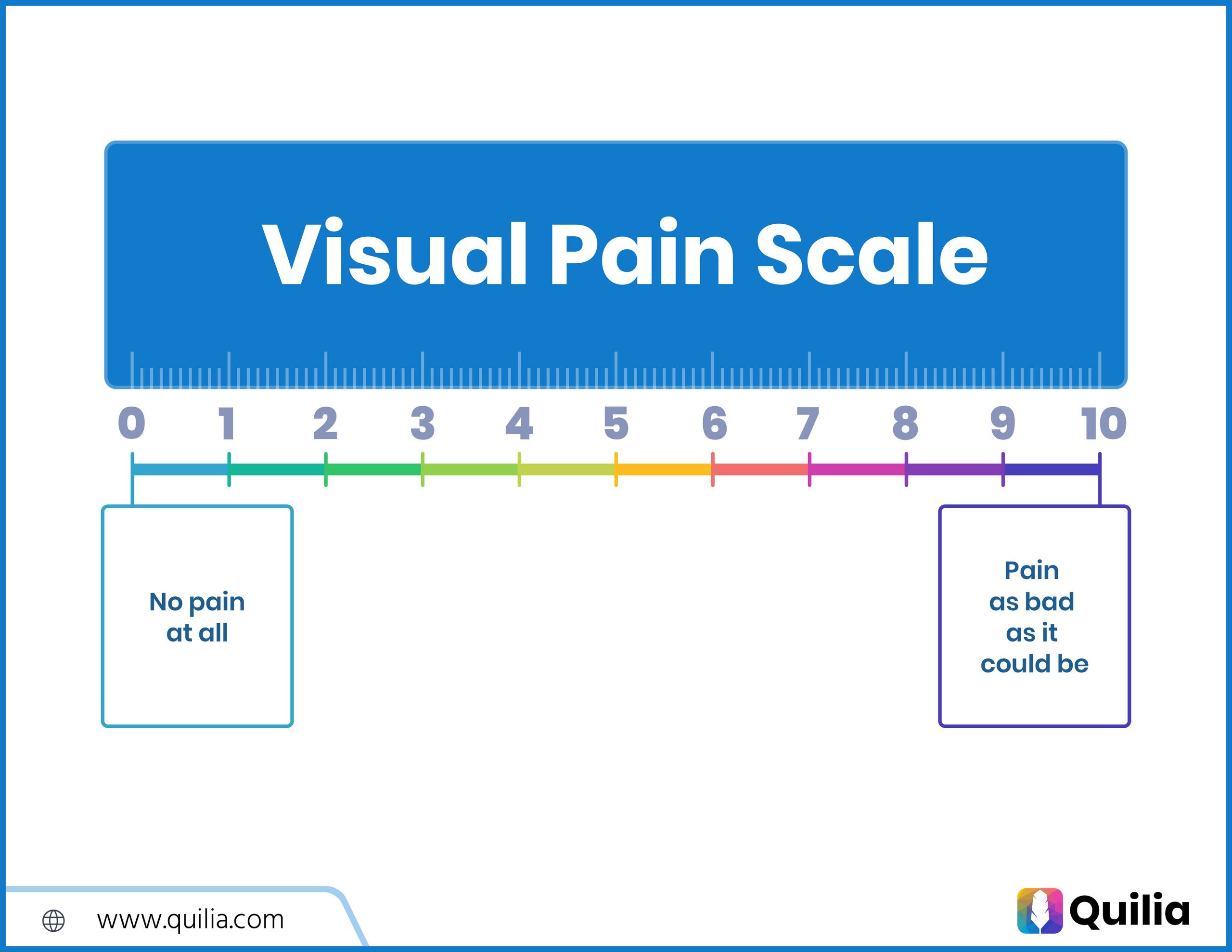 Visual Pain Scale PDF