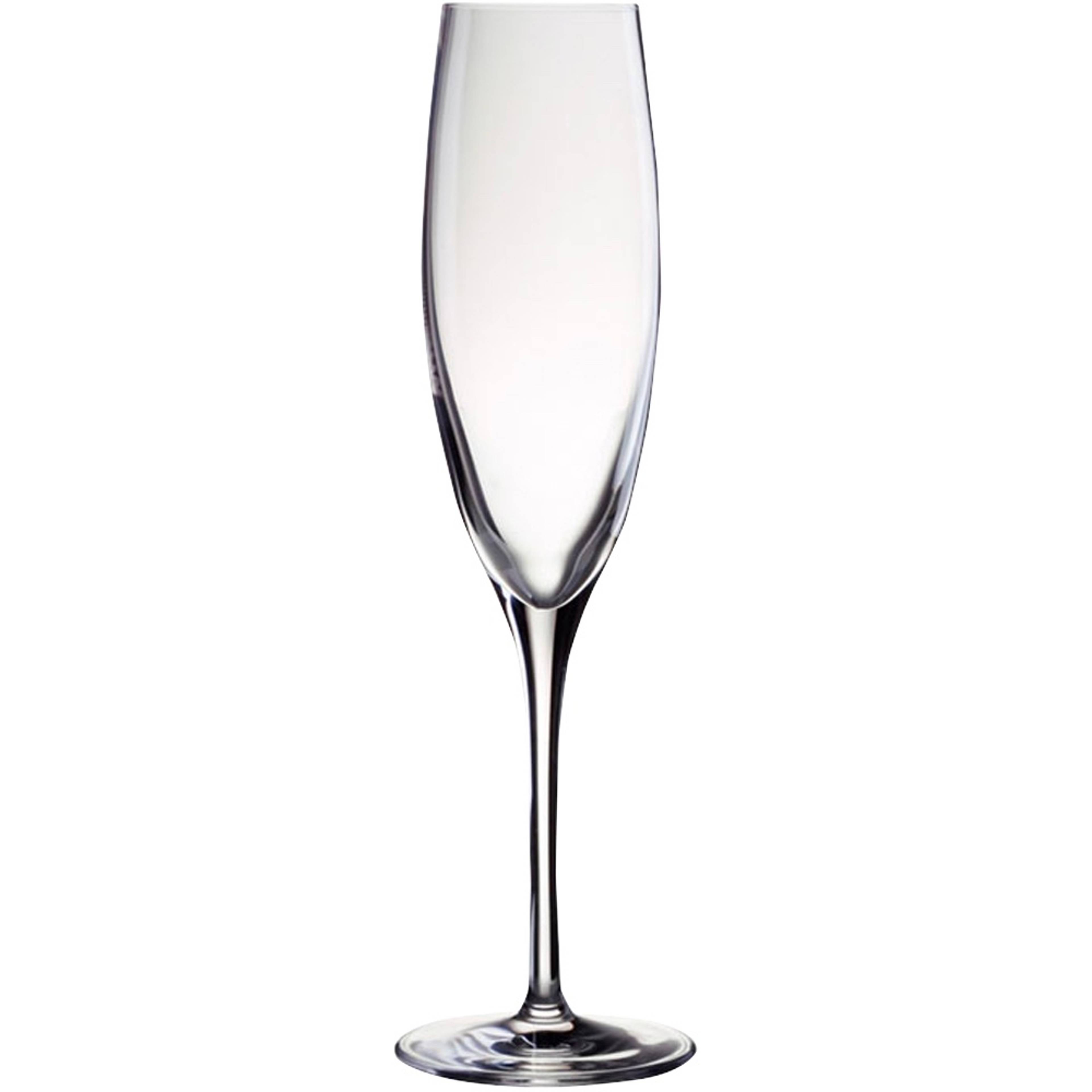 Champagneglas 17 cl