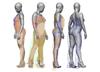 The image shows four versions of a model of a standing human body. The graphic representation resembles that of a three-dimensional animation. The depicted body has female breasts. The model is hairless and wears only a grid-like, transparent outline of clothing. Three versions of the model wear shoes with high heels. In one version, an image detail of bare feet was placed over the feet. The basic color of the model is gray. The grids are blue and neon green. In addition, some grids and positions of the models were backed with areas in beige. 