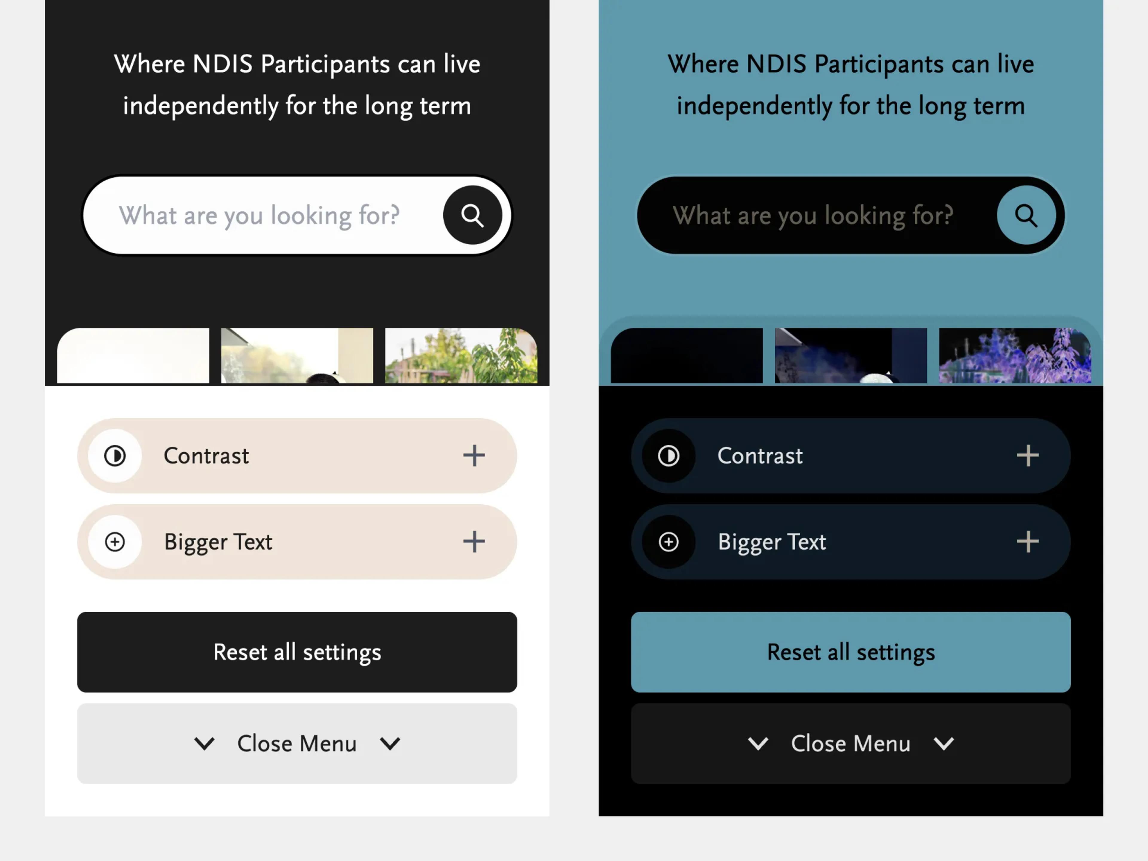 A screenshot of the website showing the accessibility features