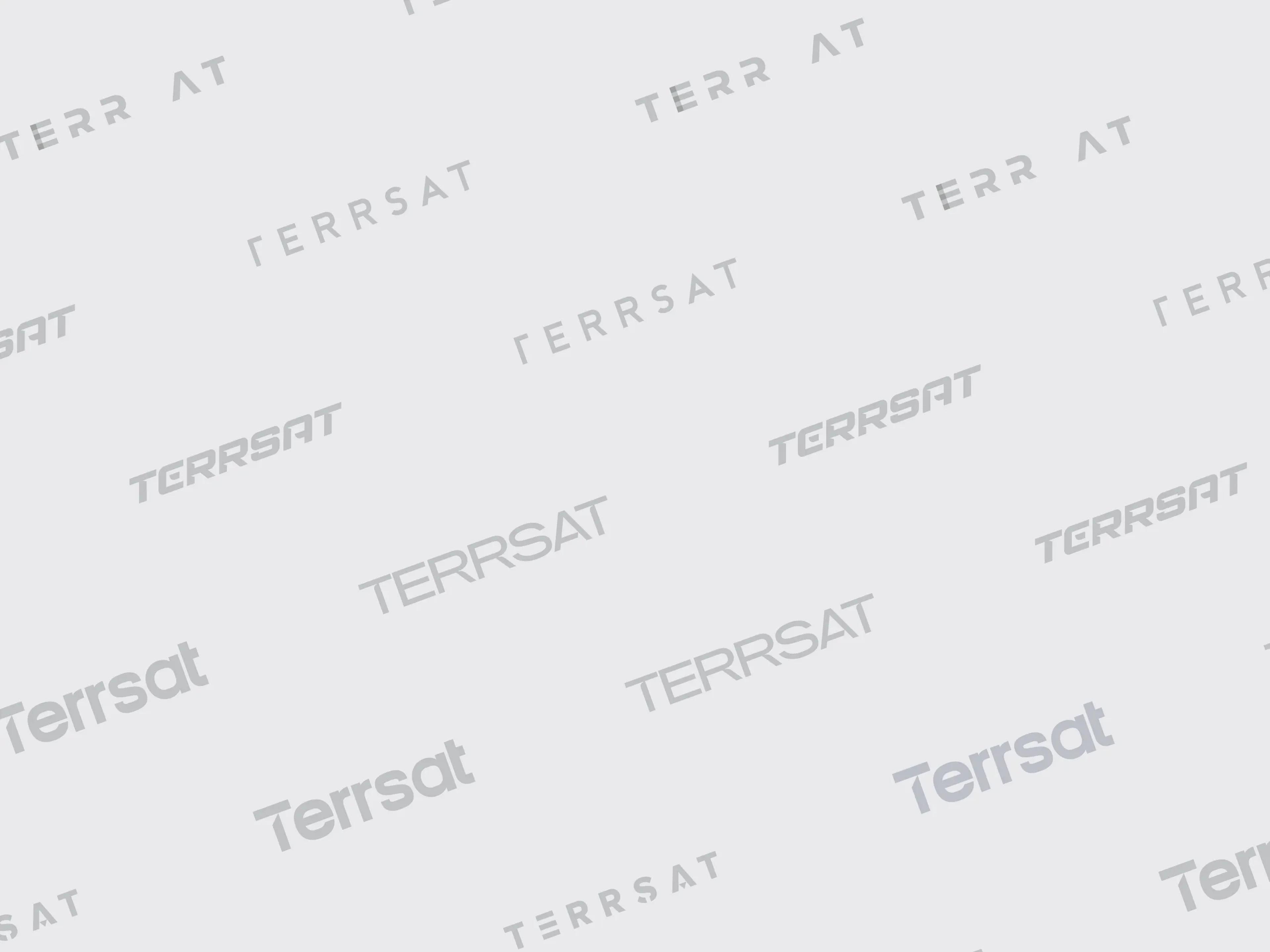 A mockup of the different TerrSat logos we ideated.