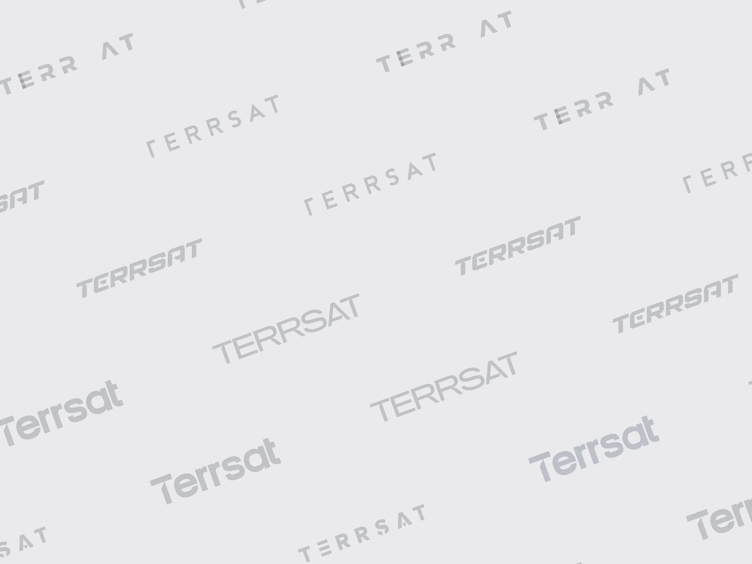 A mockup of the different TerrSat logos we ideated.
