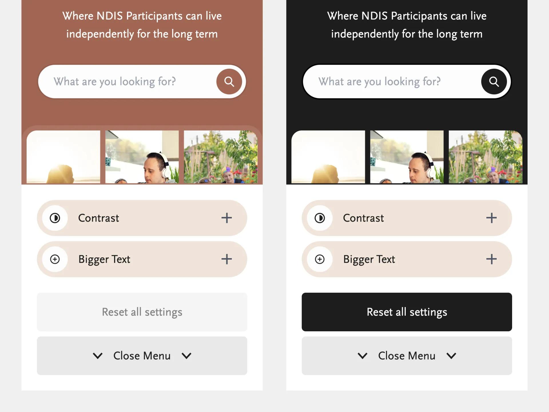 A screenshot of the website showing the accessibility features