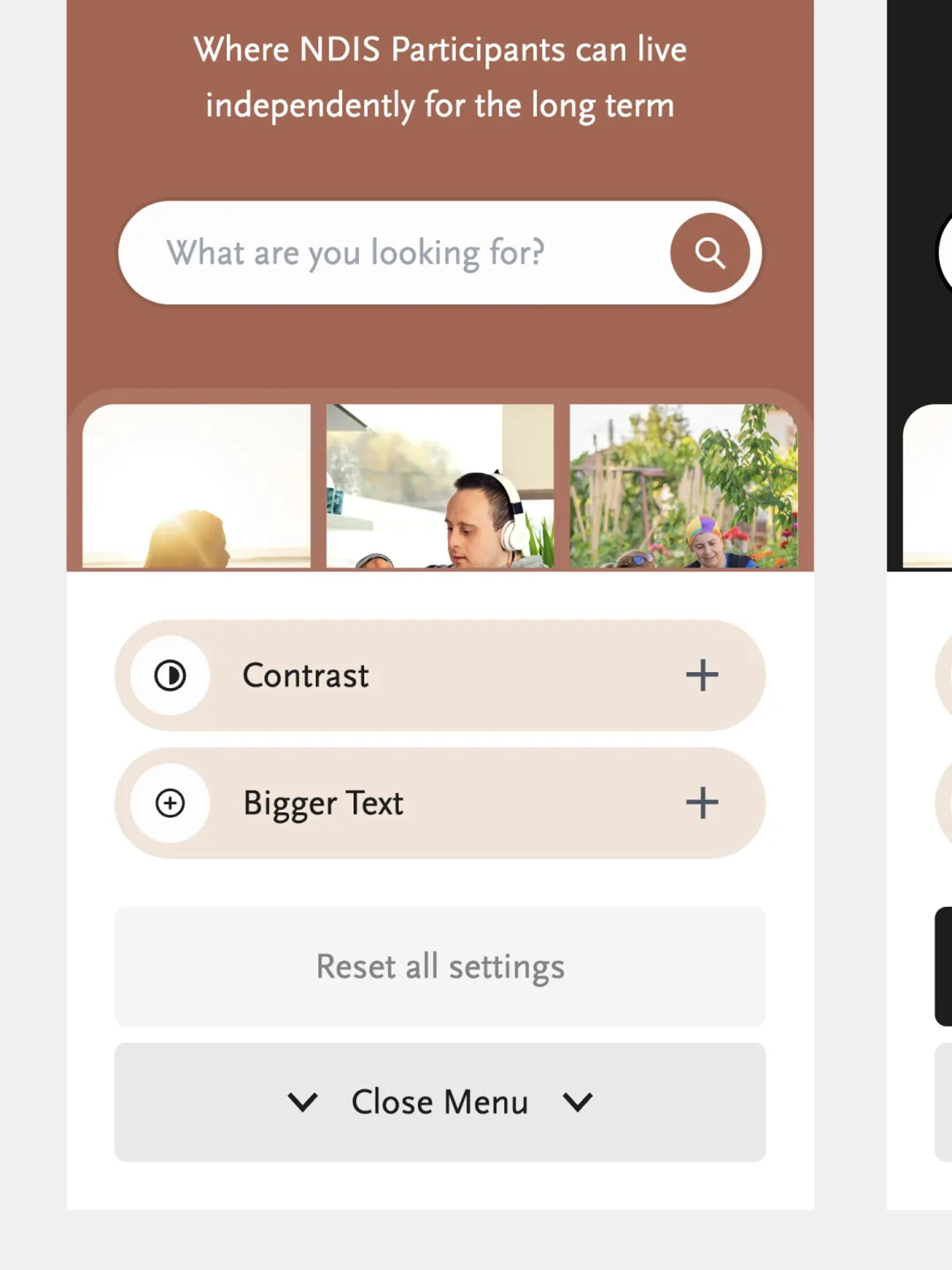 A mockup of the accessibility features of the Habilitas website.