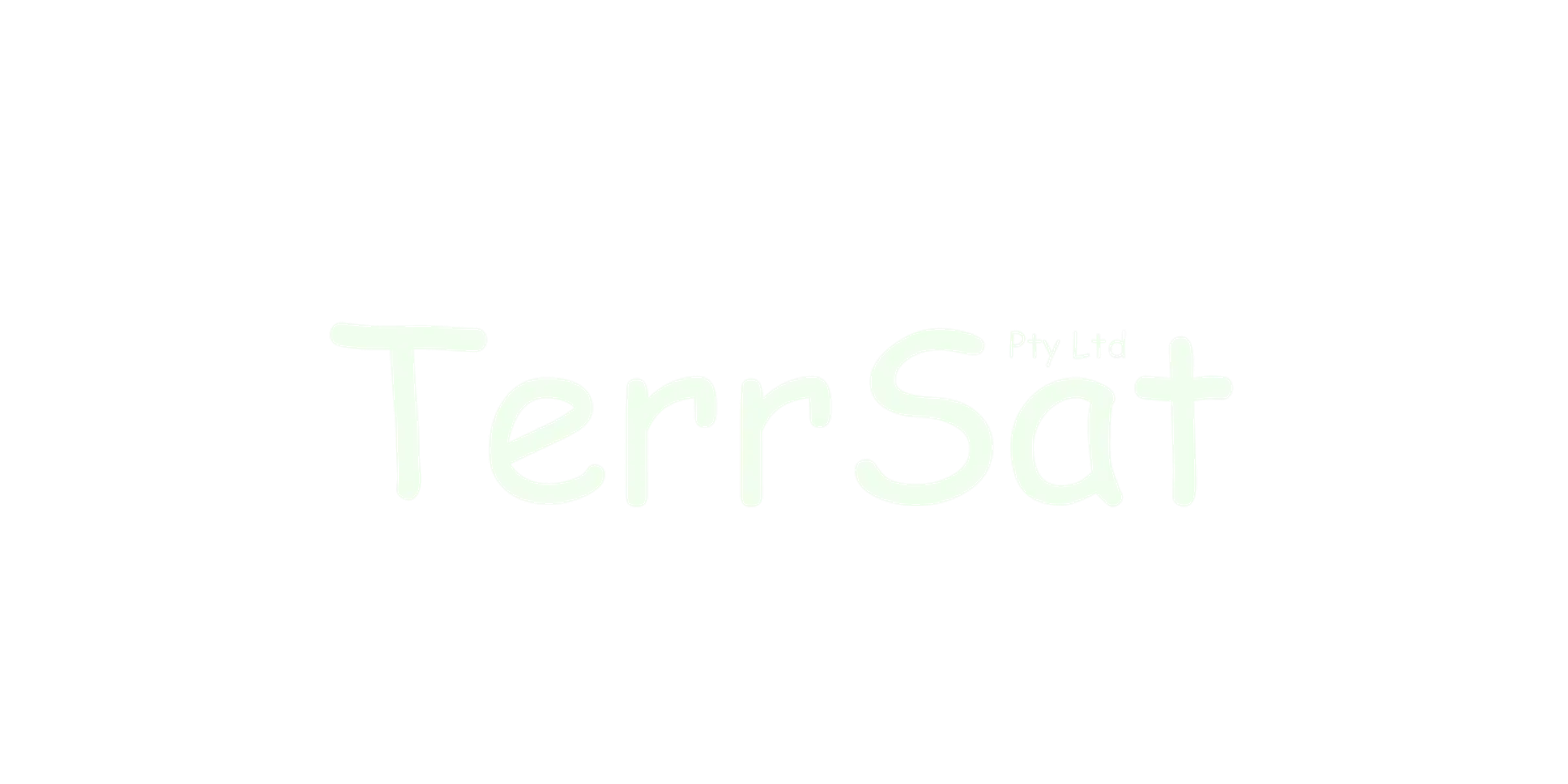 The TerrSat logo