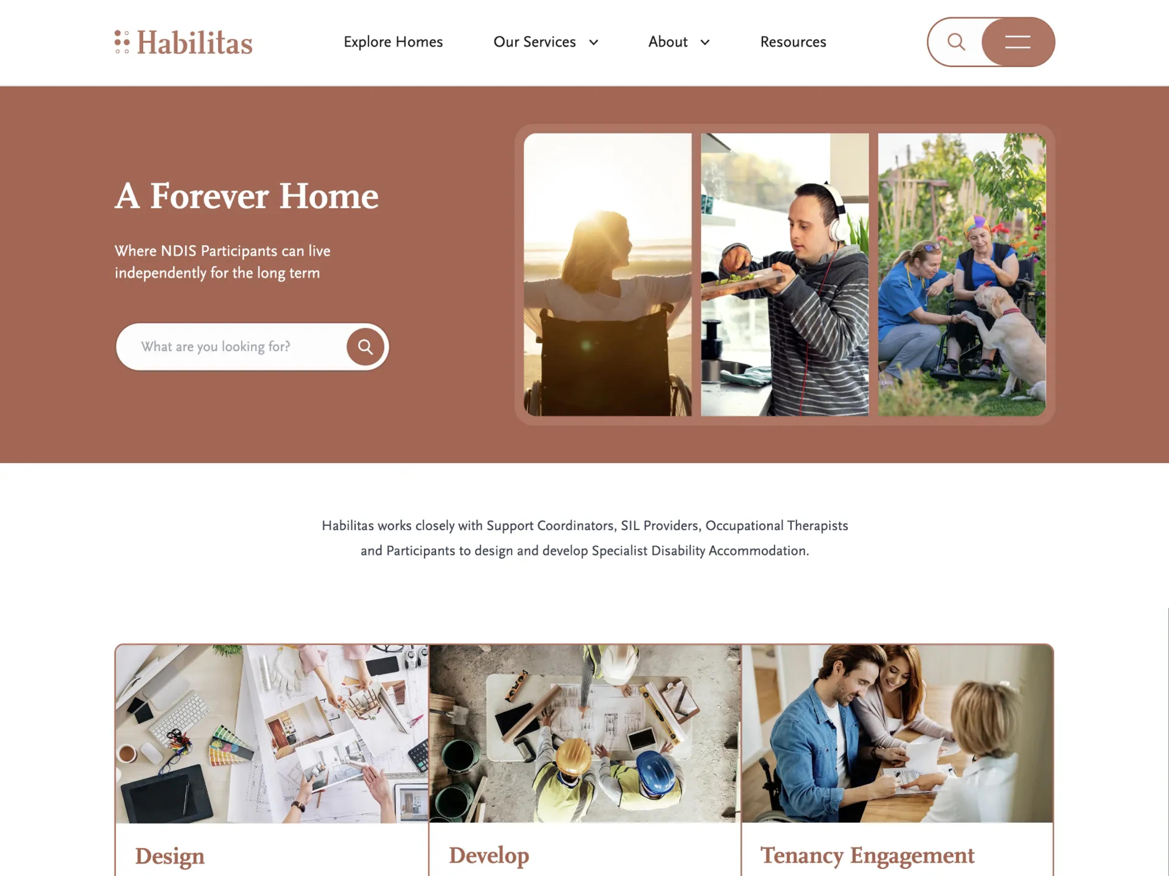 A screenshot of the Habilitas website.