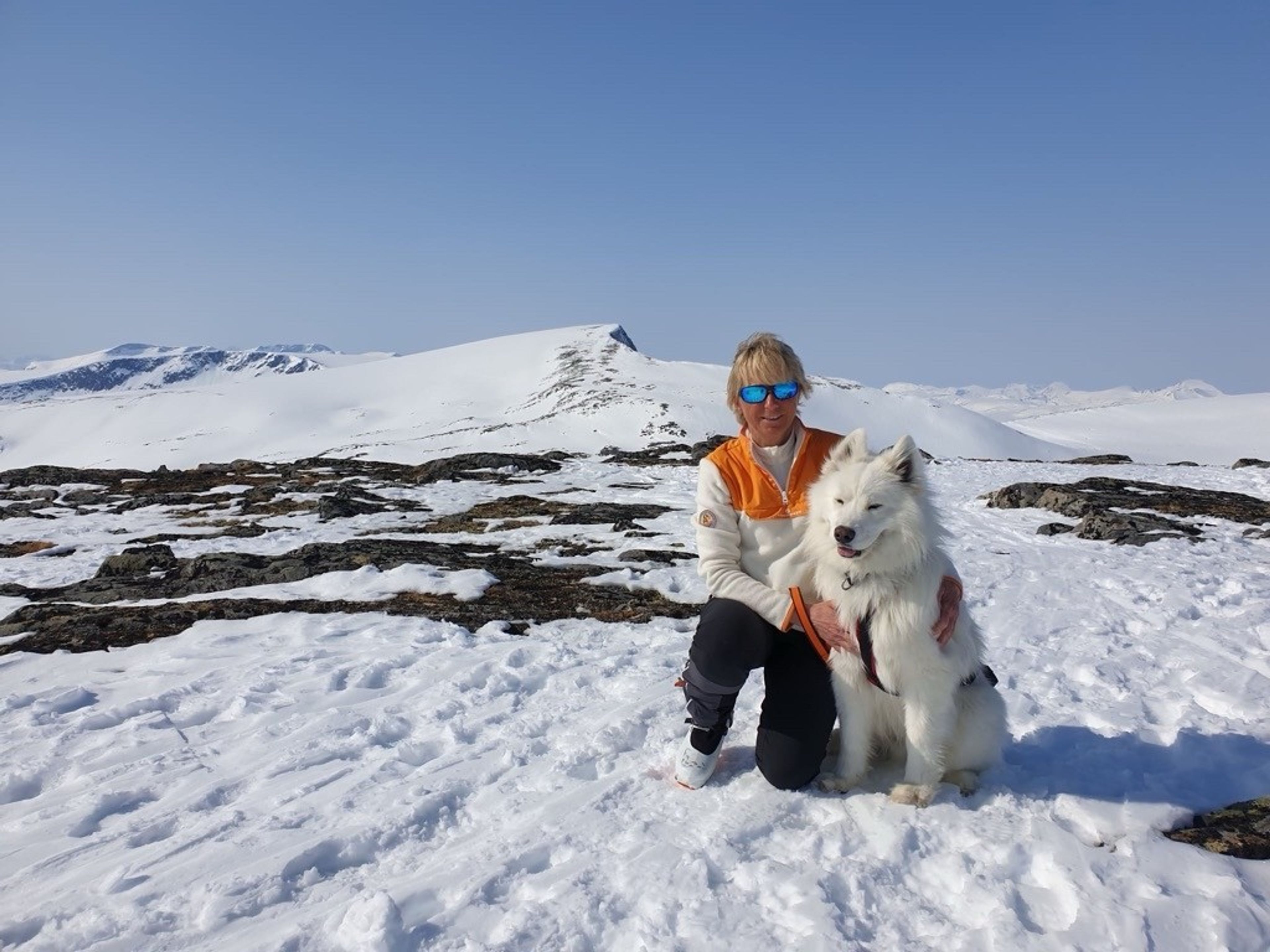 Person på tur med hund