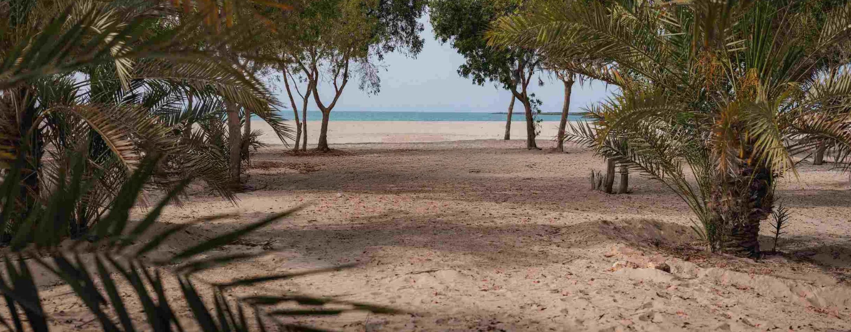 Full-Floor Apartment in Maison Elysee 3, JVC - Image 2