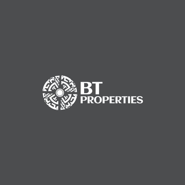 BT Holdings