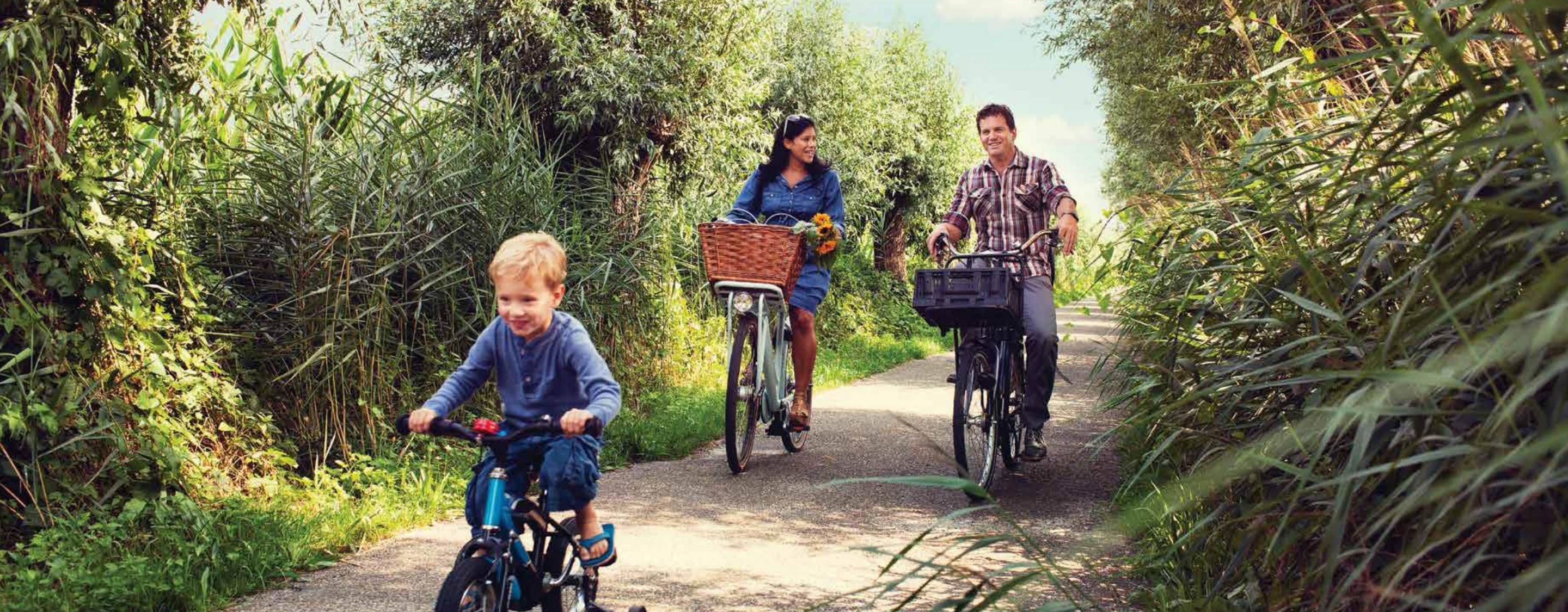 Expo Valley Villas 3 BR - Image 8