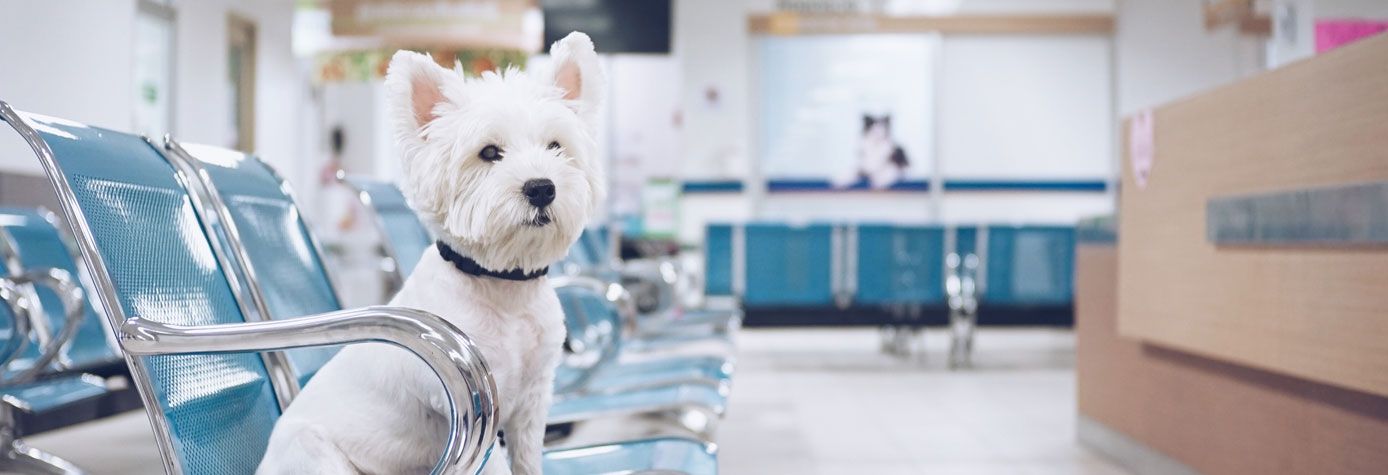 South Park Residences 2 Studio