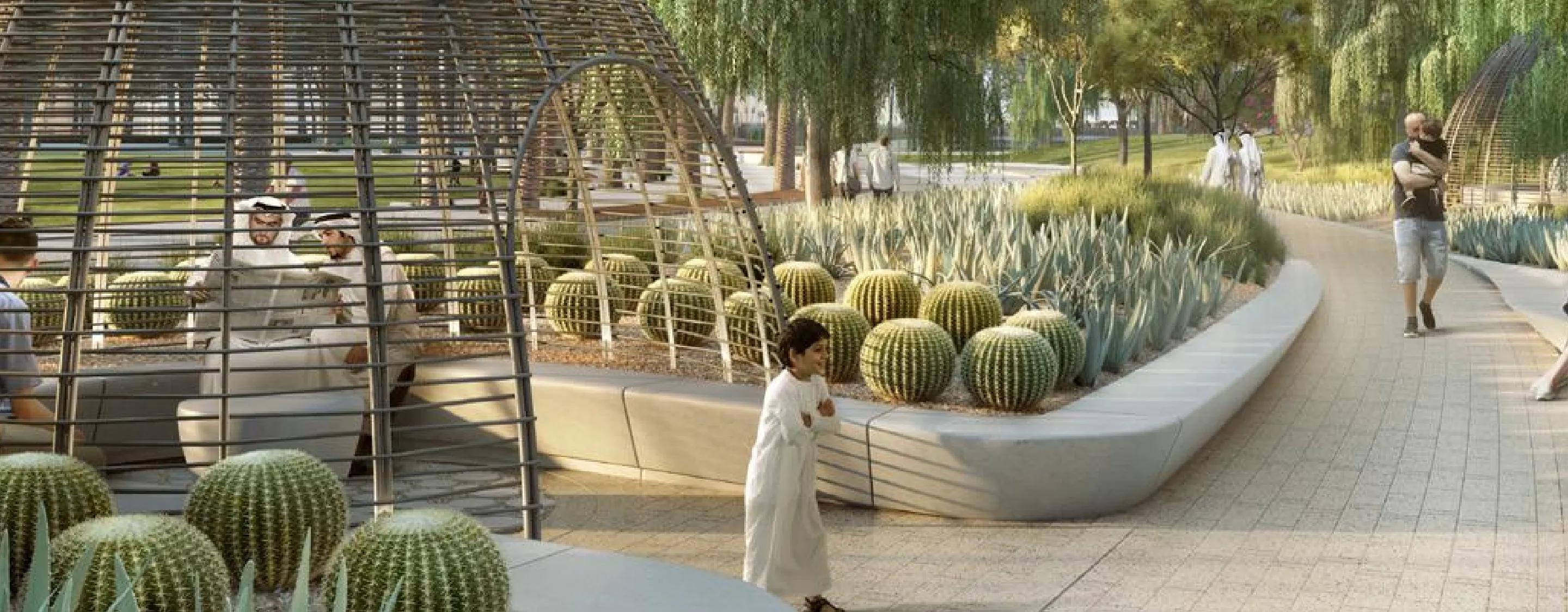 Amazonia Studio - Image 10