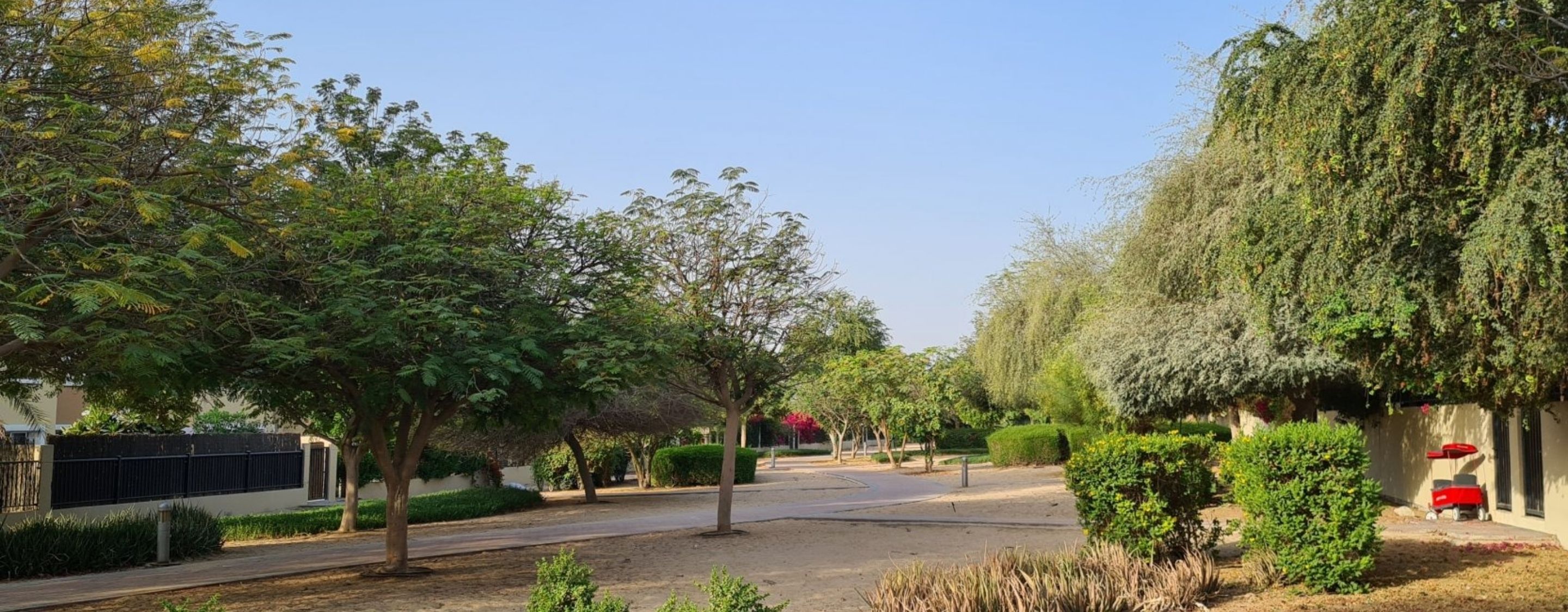 Sierra Studio - Image 9