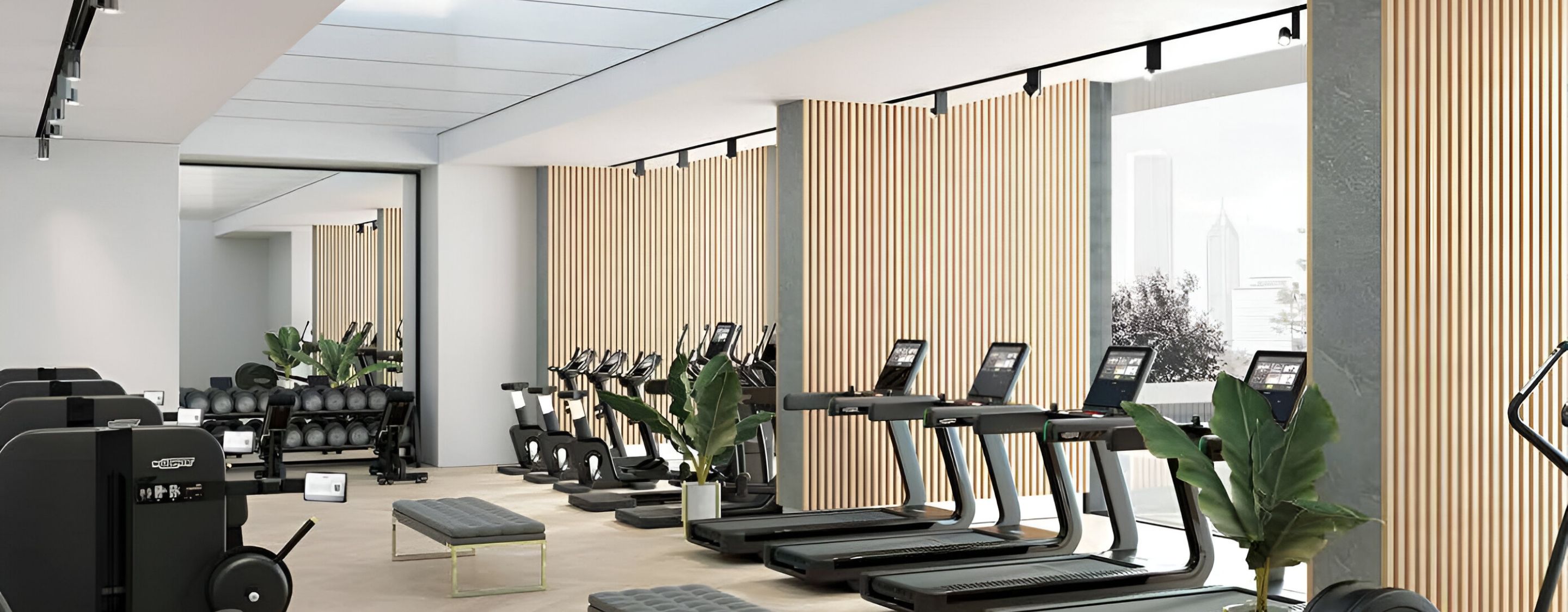 Talea Studio - Image 5