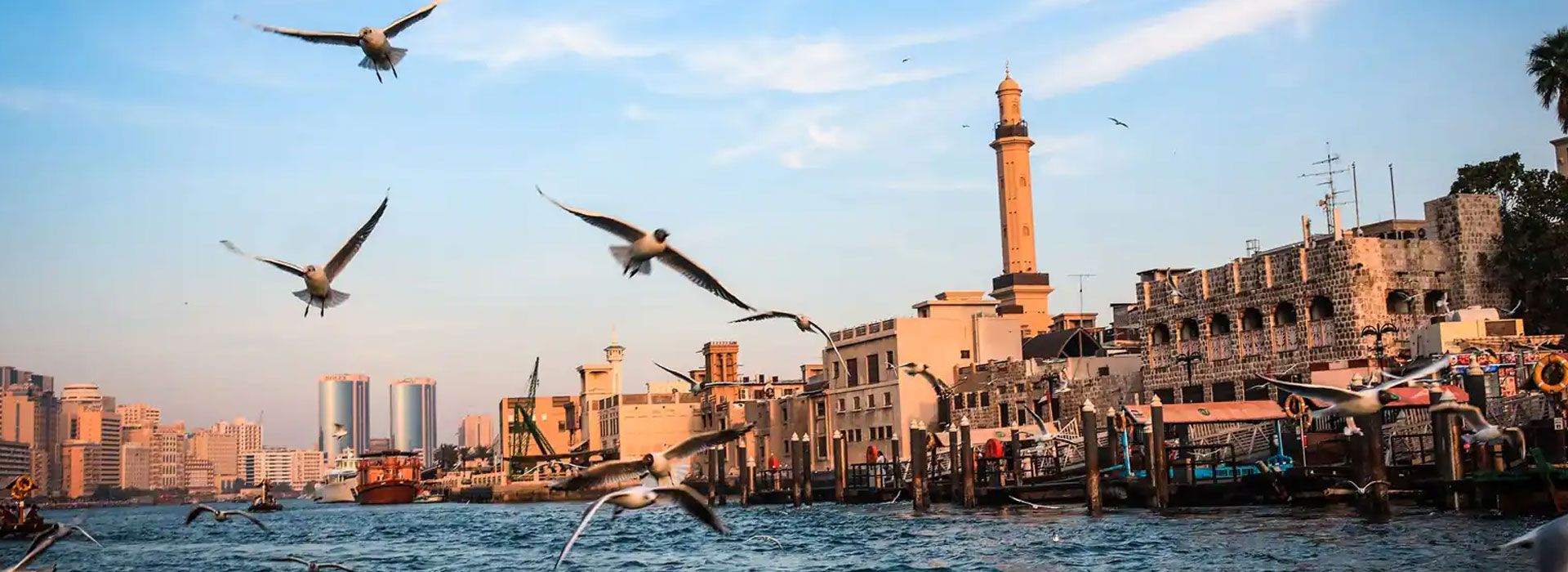 Skyvue Stellar 1 BR - Image 9