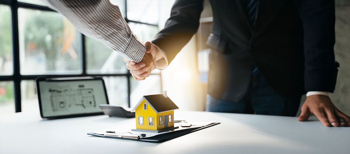 Neila Studio - Image 10