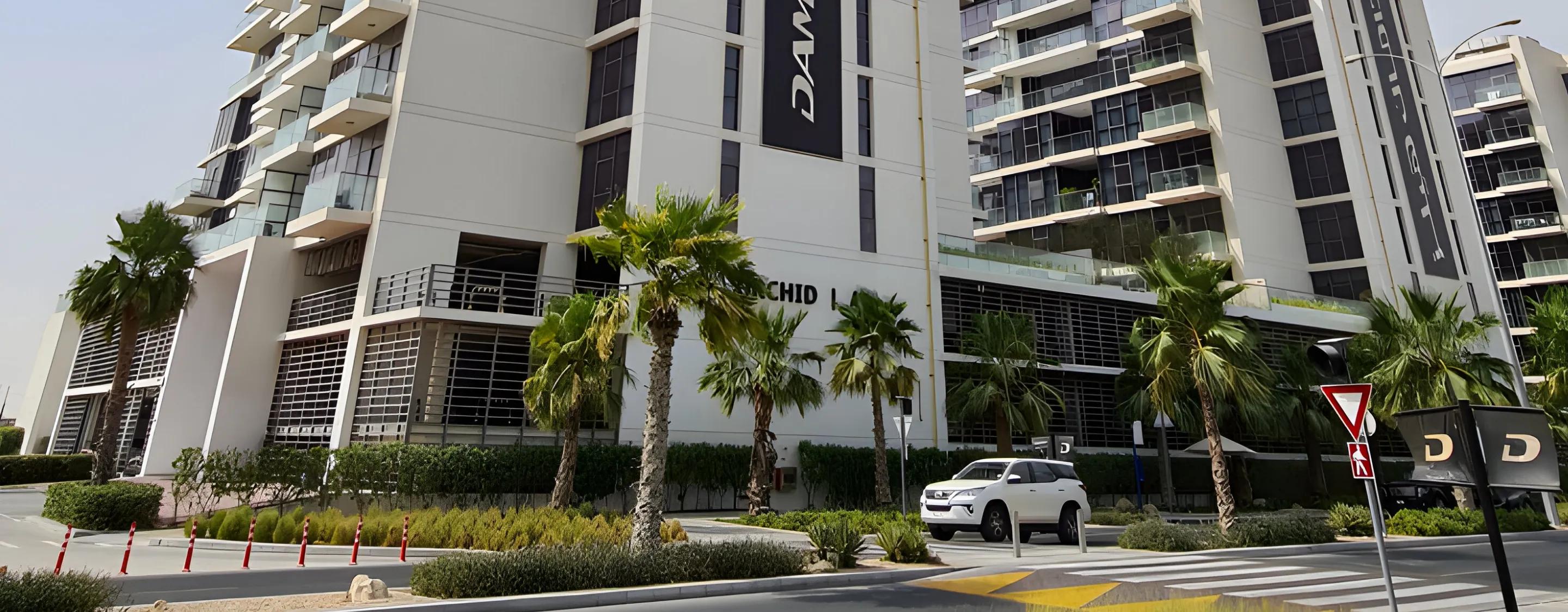 Mangrove Studio - Image 10