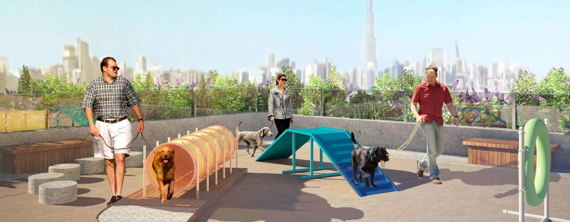 Jadeel Studio - Image 6