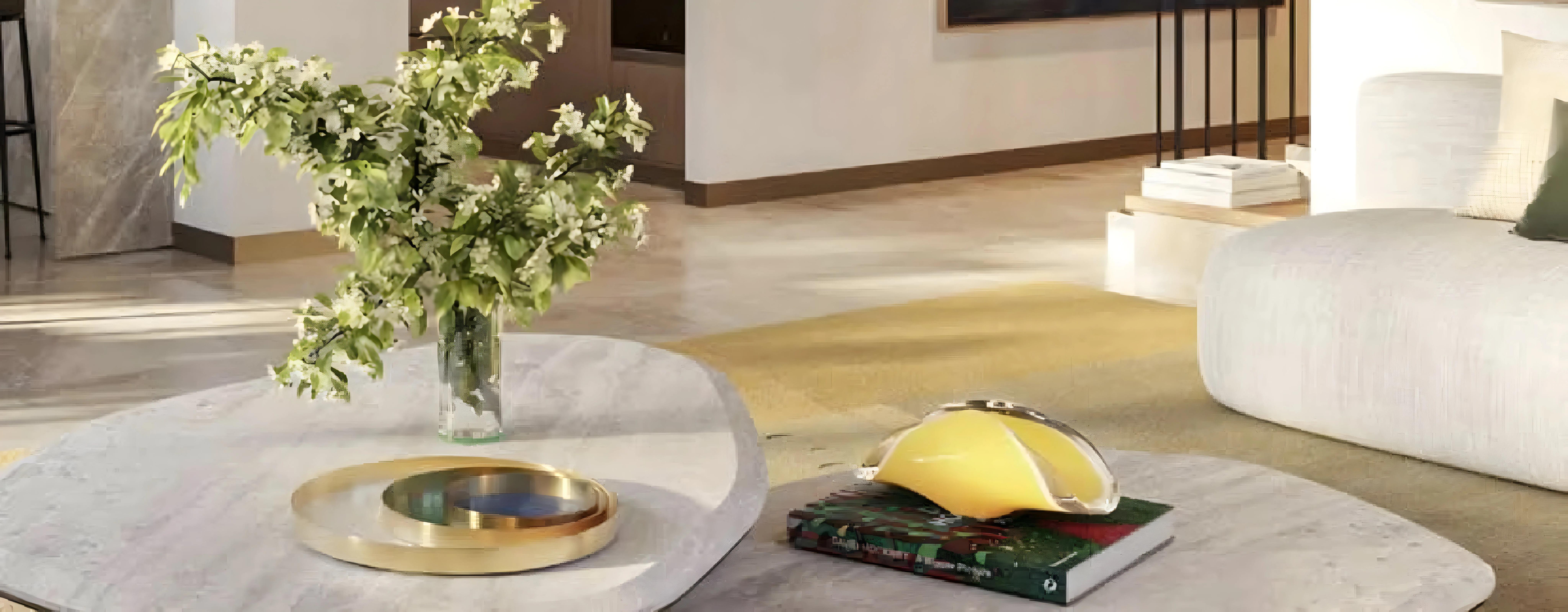 Elitz 3 Studio - Image 6