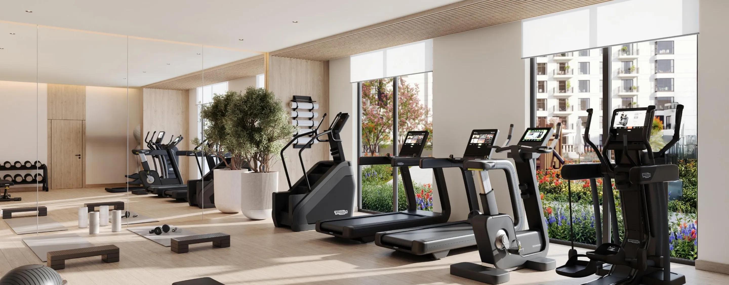 Elitz Studio - Image 8