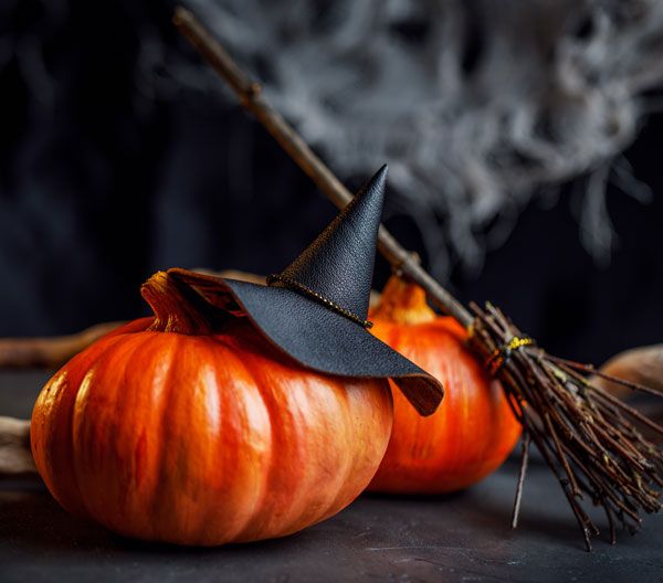 Everything You Need to Know About Halloween
