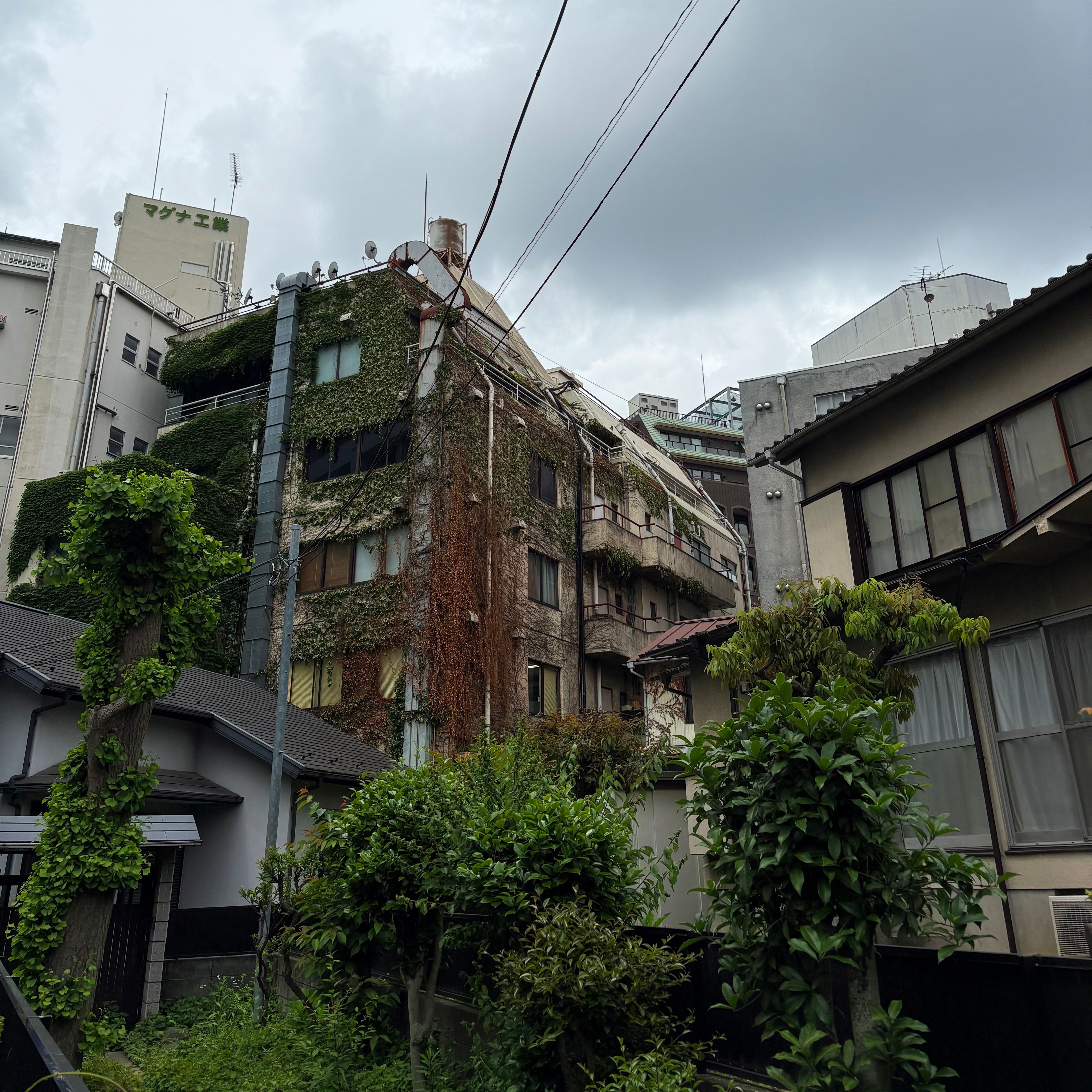 Image 10