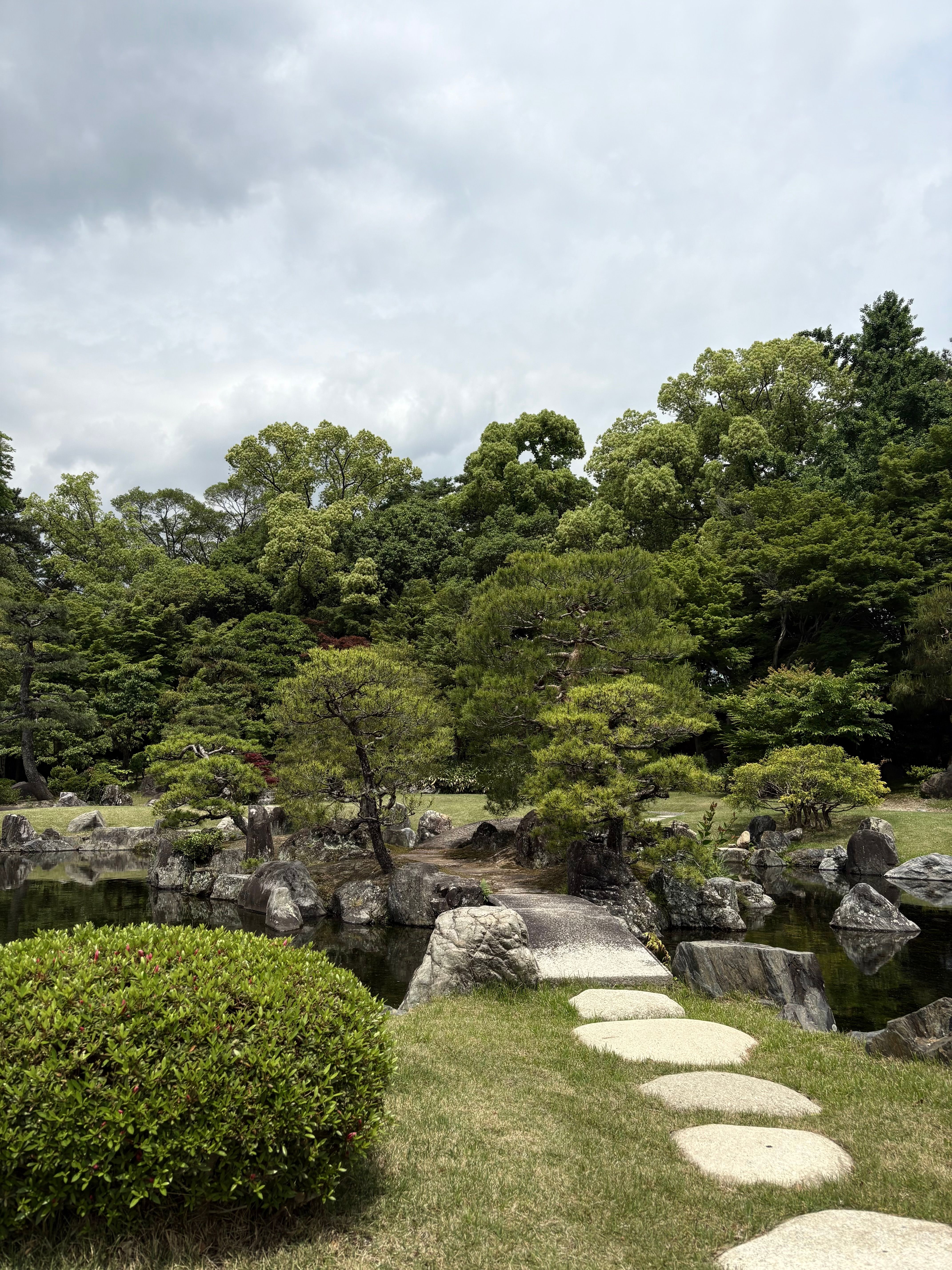 Image 9