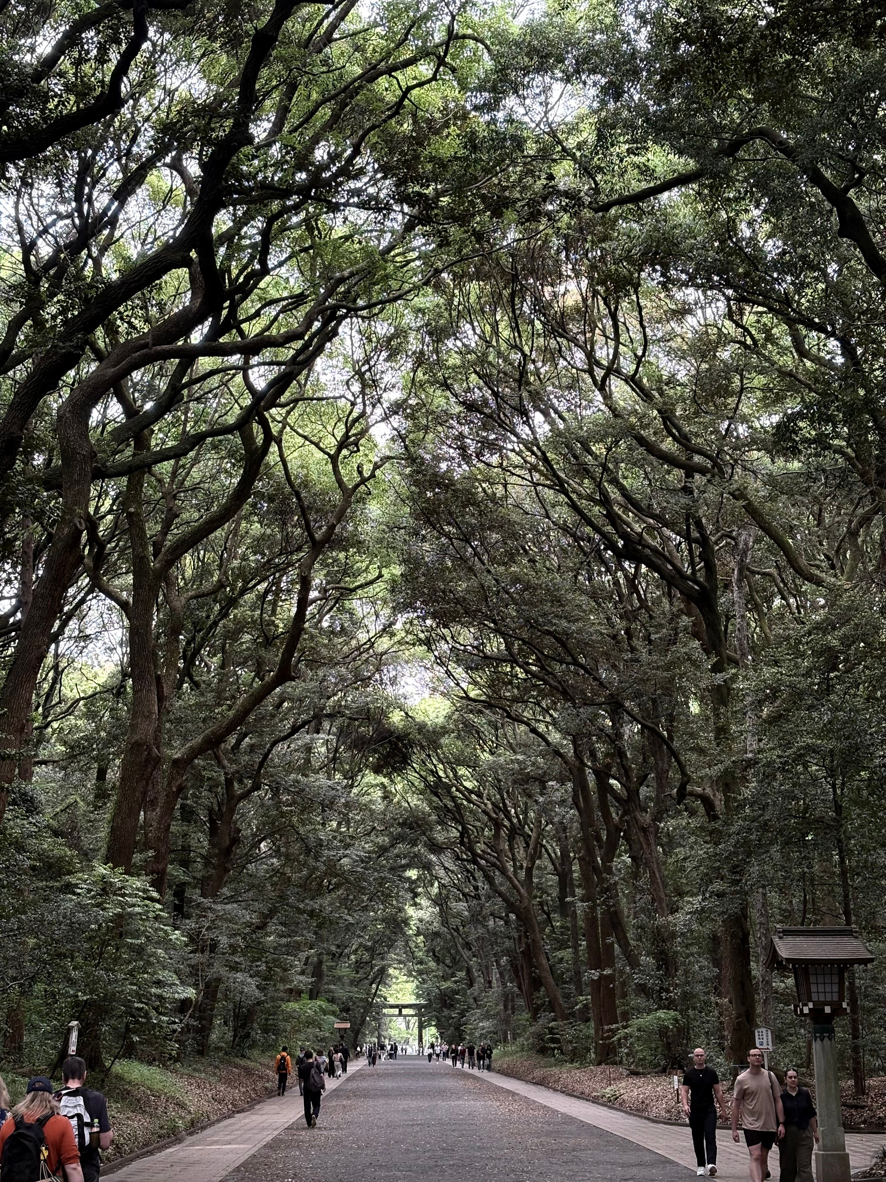 Image 8