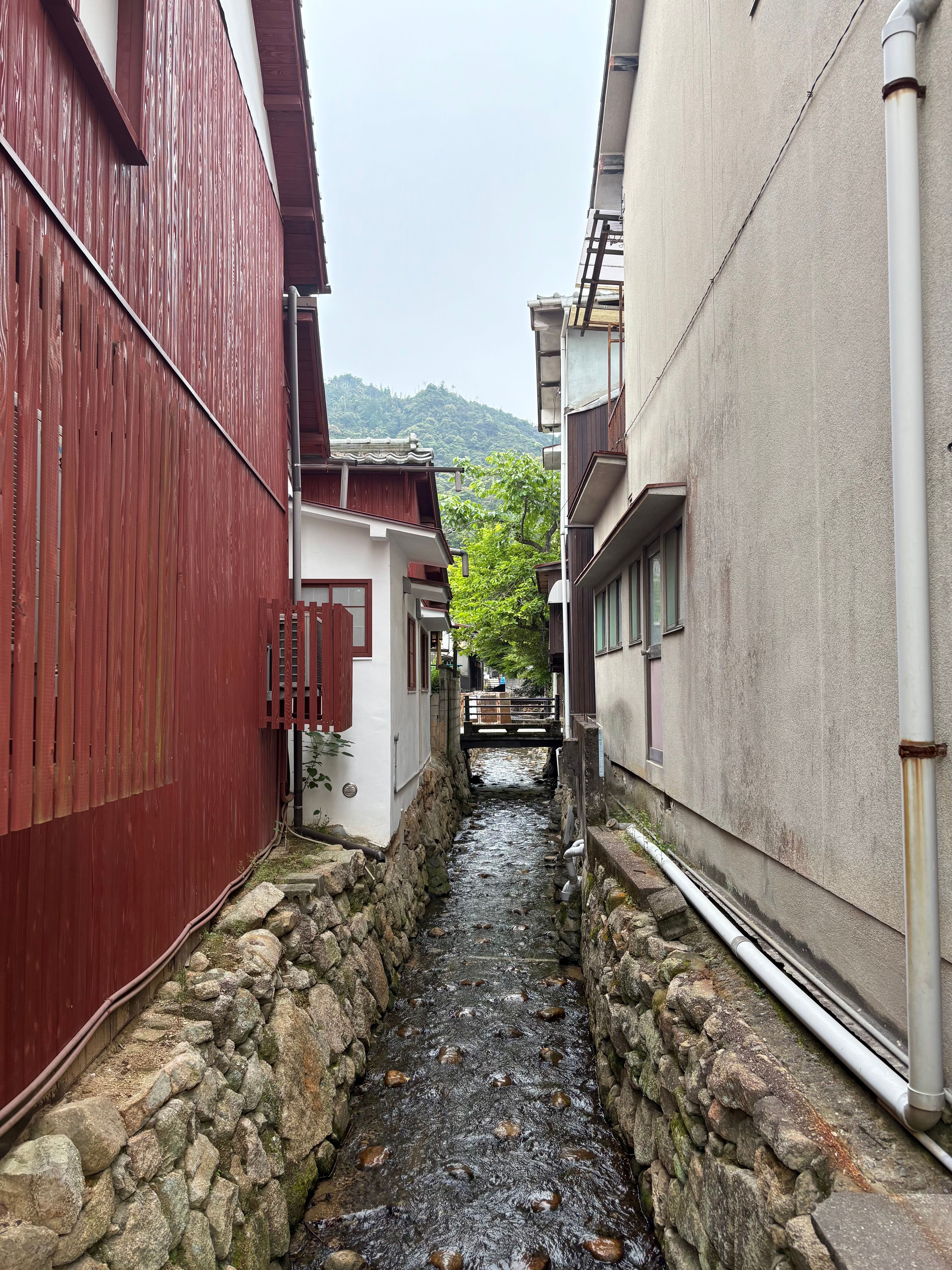 Image 15