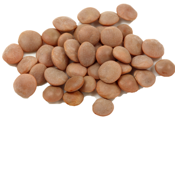 Lentil Fruit Extract