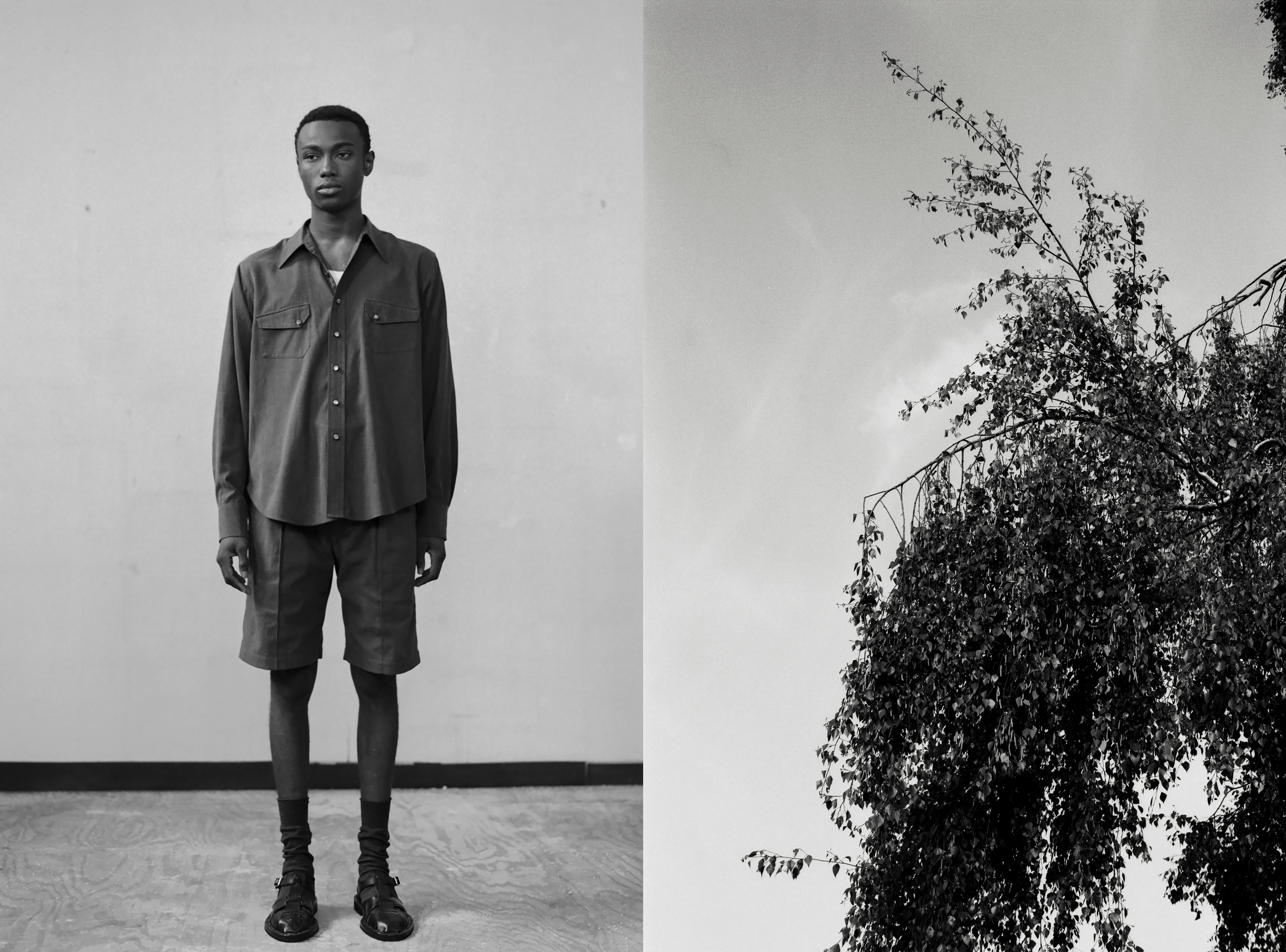 Taiga Takahashi | IN PRAISE OF TREES