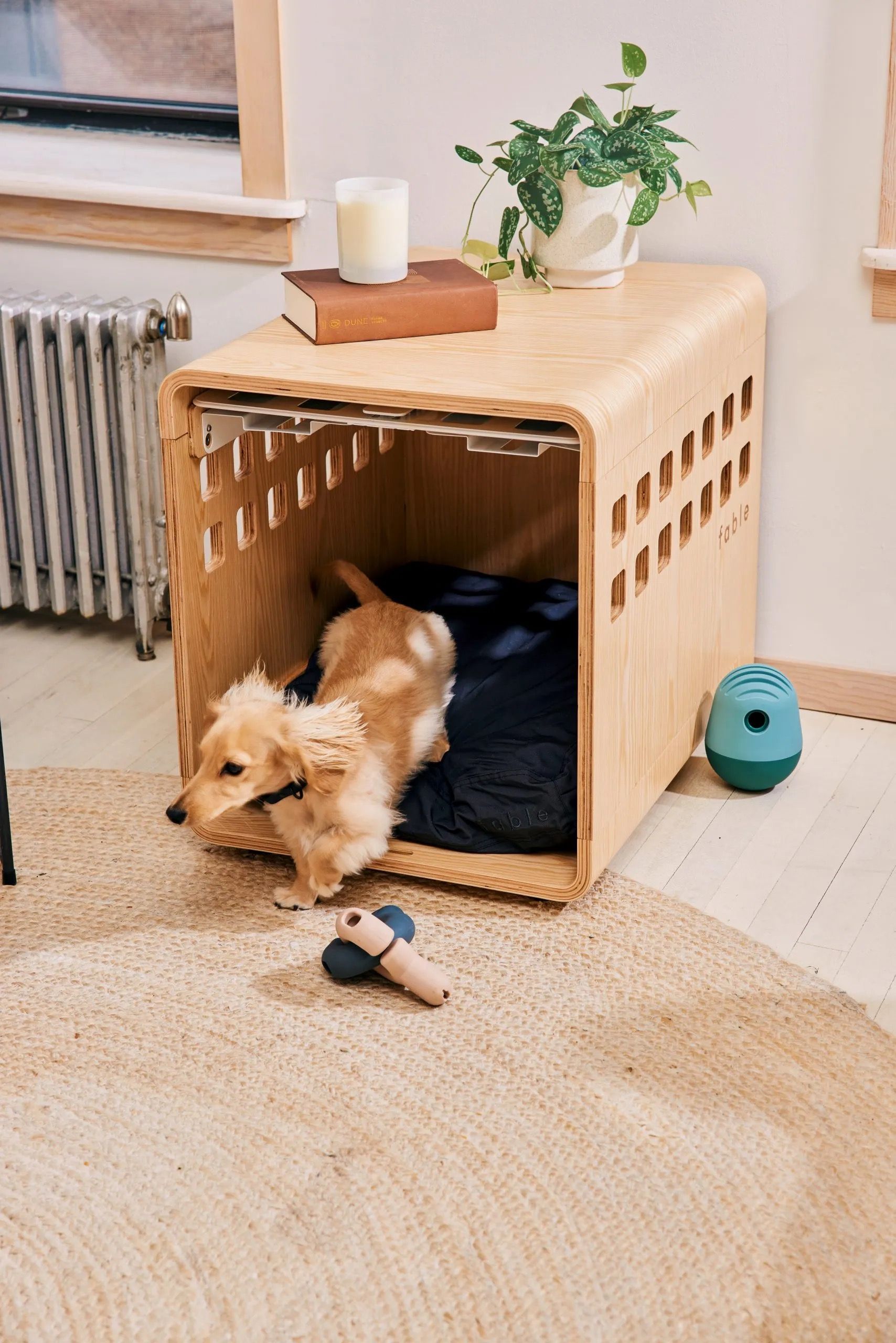 Crate for Fable