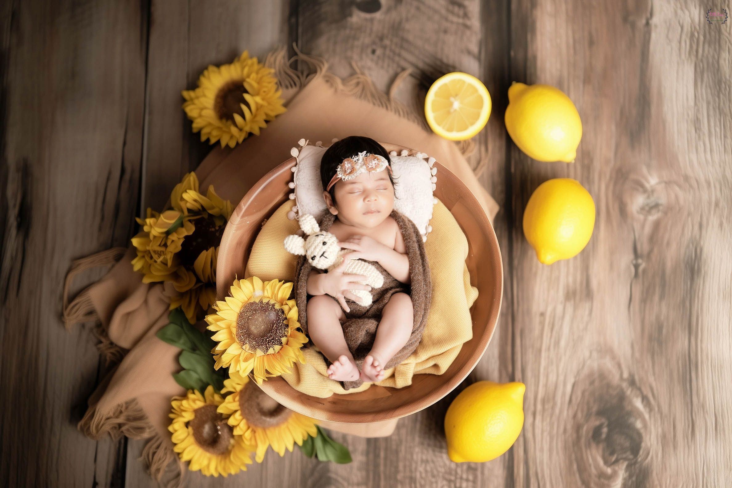 Maternity & New Born Photography Workshop — student work 5