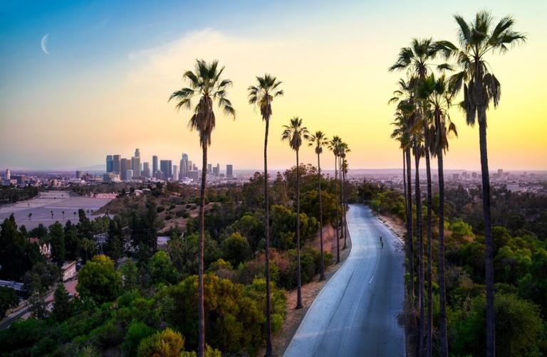 Tax debt relief Los Angeles