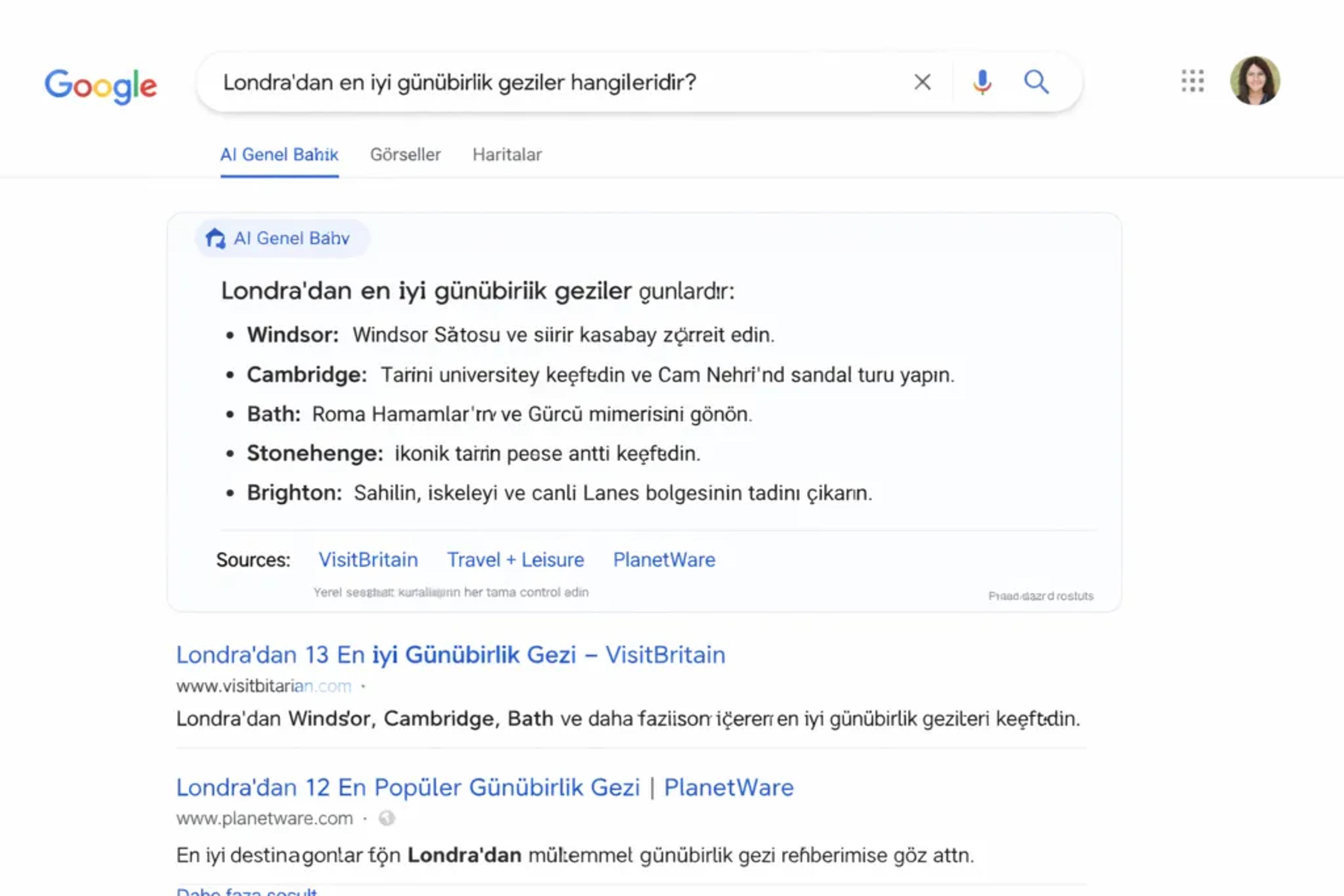 Google SGE yapay zeka destekli arama sonuç özeti örneği