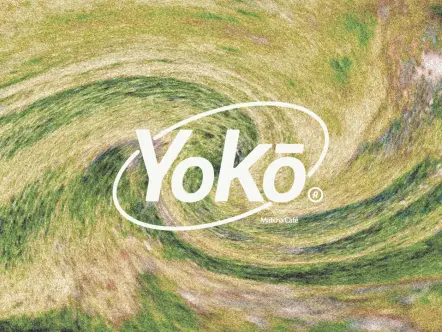 Yoko Matcha Café
