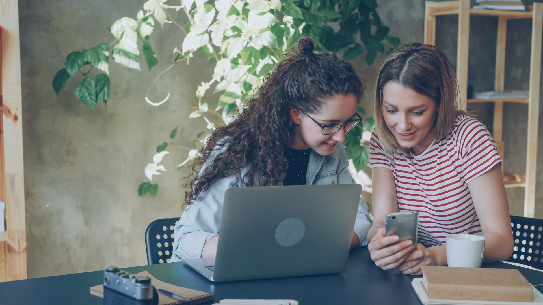 Startup web app development company: what to check before you sign anything
