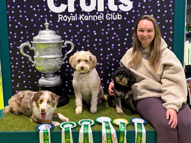Emma posing at Crufts with her dogs Dream, Athena and Apollo and their rosettes