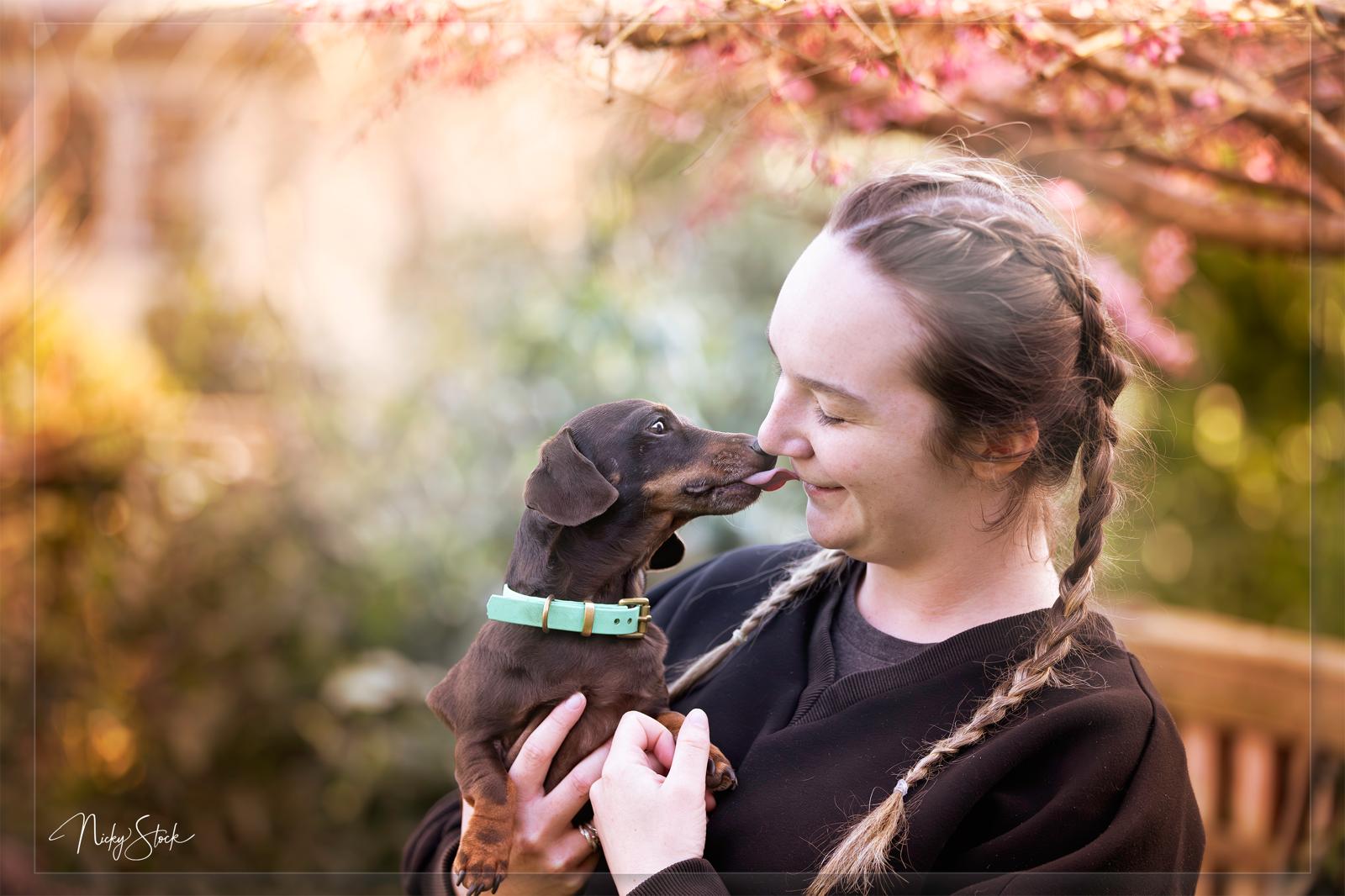 Emma Stock, professional dog walker and trainer in Taunton