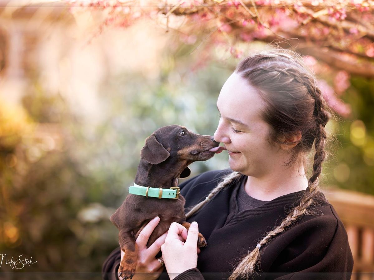 Emma Stock, professional dog walker and trainer in Taunton