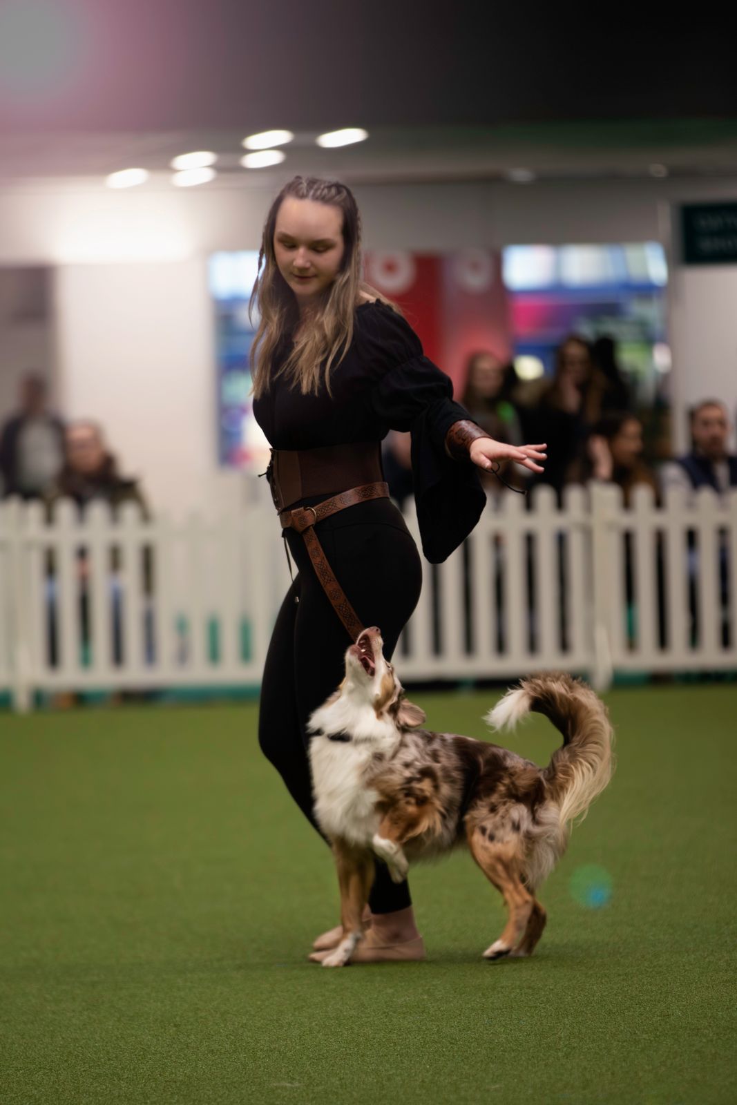 Emma training a dog in heelwork to music in Taunton, Somerset